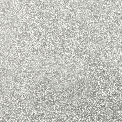 Siser 20” Silver Heat Transfer Vinyl - Crafting Brilliance with Glitter